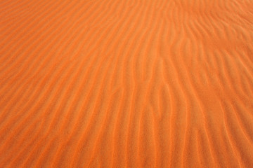 desert dunes in the sand at sunset
