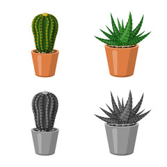 Isolated object of cactus and pot symbol. Set of cactus and cacti vector icon for stock.