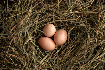 Top view of fresh brown eggs on straw.
