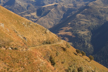 Im Valle Albano