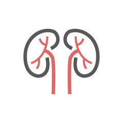 Kidneys line Icon. Vector sign for web graphic.