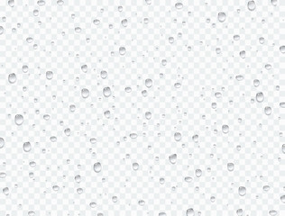 Water rain drops or steam shower isolated on transparent background. Vector pure droplets on window glass surface for your design.