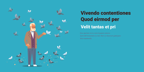 senior man feeding flock of pigeon grandfather elegant male cartoon character horizontal copy space flat