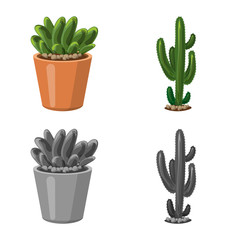 Vector design of cactus and pot symbol. Collection of cactus and cacti stock vector illustration.
