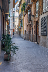 Fototapeta na wymiar one of the many narrow streets of the old town in Palma de Mallorca