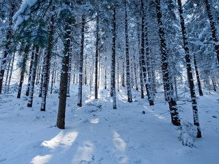 Malowniczy zimowy pejzaże górskich krajobrazów w słonecznym świetl