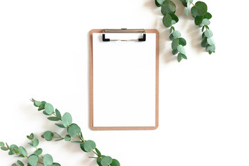 Clipboard and eucalyptus branches on a white background