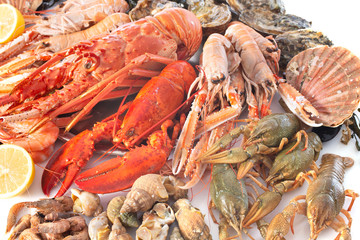 seafood in studio © cynoclub