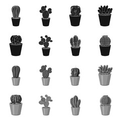 Vector design of cactus and pot logo. Set of cactus and cacti stock symbol for web.
