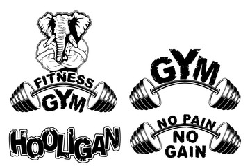 Vector set design for a gym with an abstract image of a strong elephant.