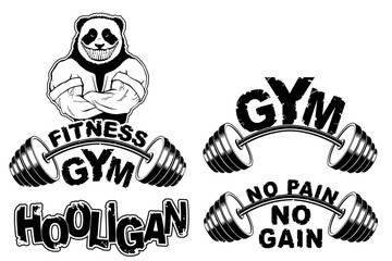 Vector set design for a gym with an abstract image of a strong panda.