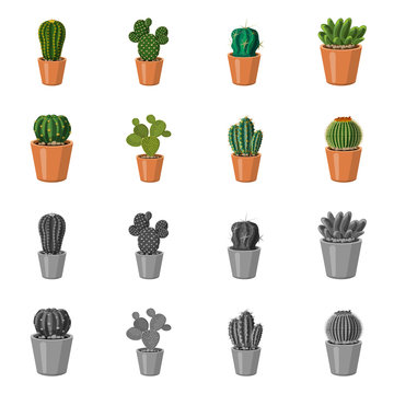 Vector illustration of cactus and pot icon. Set of cactus and cacti stock symbol for web. © Svitlana