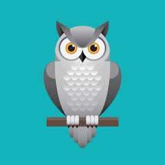 Cute white owl illustration on blue background.