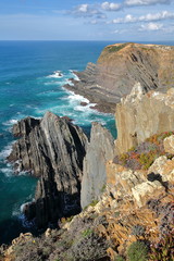 Dramatic and colorful cliffs on Alentejo West Coast at Cabo Sardao, Alentejo, Portugal, with white storks nesting at the top of the rocky cliffs