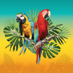 Illustration polygonal drawing of two macaw birds. © NPD stock