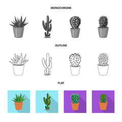 Isolated object of cactus and pot sign. Set of cactus and cacti vector icon for stock.