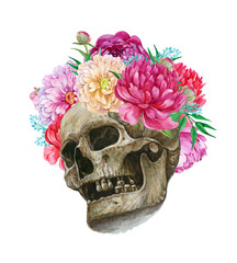 Human skull and flowers roses and peonies, watercolor illustration