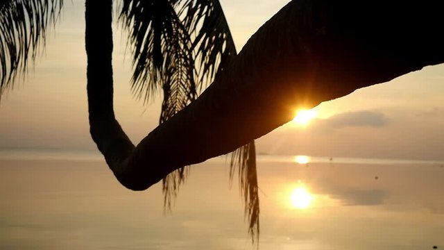Golden evening sun shining on paradise island through the pulm tree on the beach. slow motion. 1920x1080