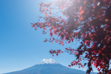 Mt.Fuji with red maple