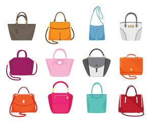 Women Handbags Collection Fashionable Set Vector