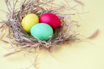 Easter multicolored eggs in a nest on a yellow background