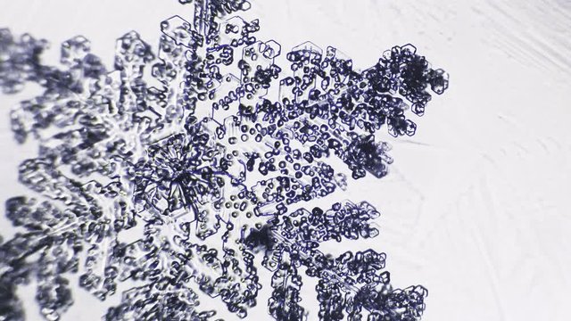 openwork snowflake on a white background under a microscope