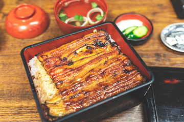 Close-up Unagi in bento