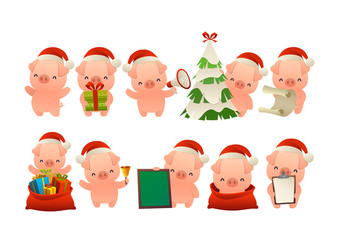 Collection of happy cute Christmas pig isolated vector