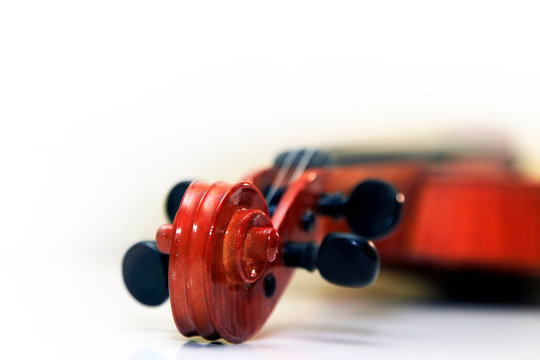 Old violin on the white background