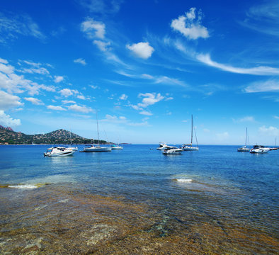 Fototapeta Sea water and ship yachts on the horizon.