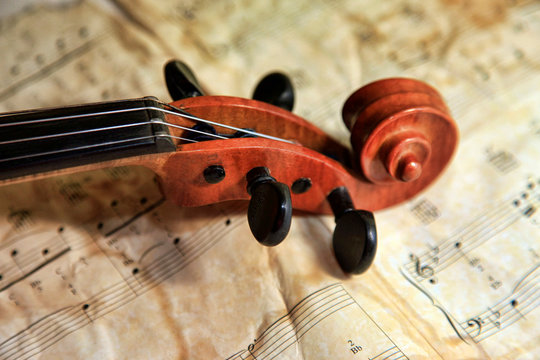 Old violin on the background of notes