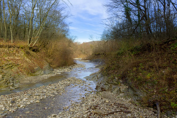 mountain river, forest and blue sky