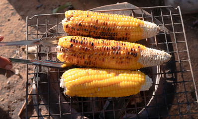 hand flip the corn on the stove charcoal