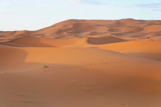 Wüste Erg Chebbi, Merzouga, Marokko, Afrika © Egon Boemsch