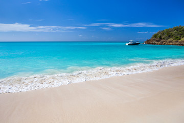 Fototapeta premium Tropical beach at Antigua island in Caribbean with white sand, turquoise ocean water and blue sky