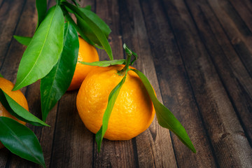 Mandarins with green leaves on wood background