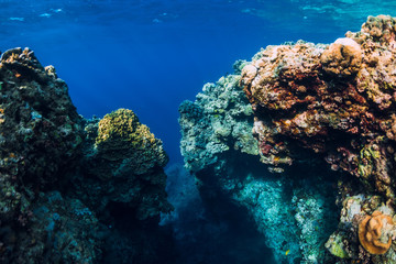 Fototapeta na wymiar Underwater rocks with corals in ocean. Menjangan island, Bali