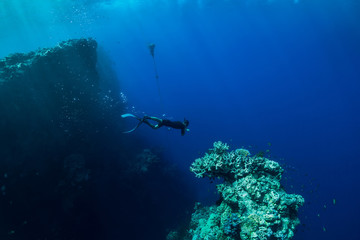 Fototapeta na wymiar Free diver dive in ocean, underwater view with corals and rocks