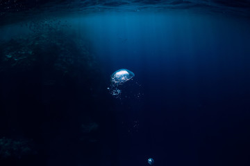 Underwater texture with air bubble in ocean