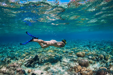 Woman free diver in bikini swimming underwater in the tropical blue ocean