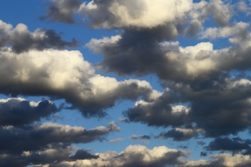 Obraz premium pretty bright soft partially cloudy sky for using in design as background.