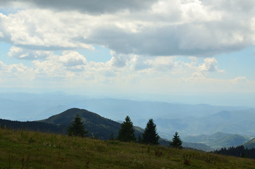 Green hills with ski track between pines and firs in summer