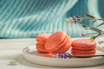 Close up. Provence. Color living coral. Bright sweet macarons on a round plate, a vintage buttons, a lavender. Turquoise knitted background. Copy space.