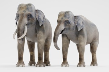 Fototapeta na wymiar Realistic 3D Render of Asian Elephants
