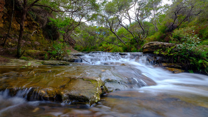Naklejka na ściany i meble Wentworth Falls in the Blue Mountains, NSW, Australia