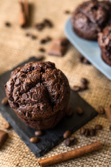tasty chocolate muffin