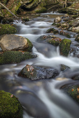 Long exposure image of a stream in the forest