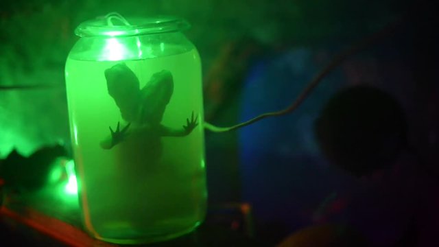 Two-headed lizard in a jar with formalin. Glowing green highlights in a dark room