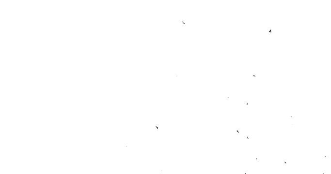 flock of the crow over the head at top. White background