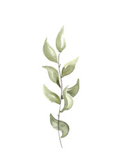 Watercolor tree branch